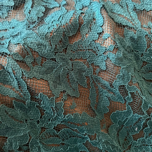 Kit from the Kloth lace pencil dress - Picture 15 of 15